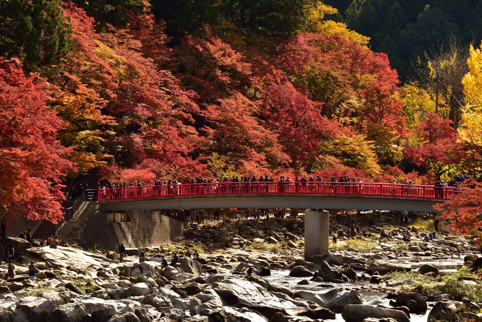 香嵐渓の紅葉(豊田市足助)