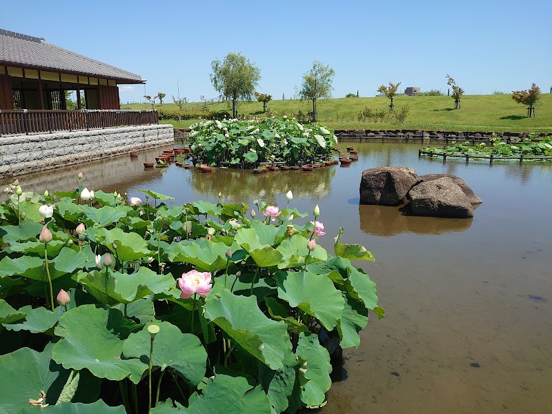 油ヶ淵水辺公園の写真