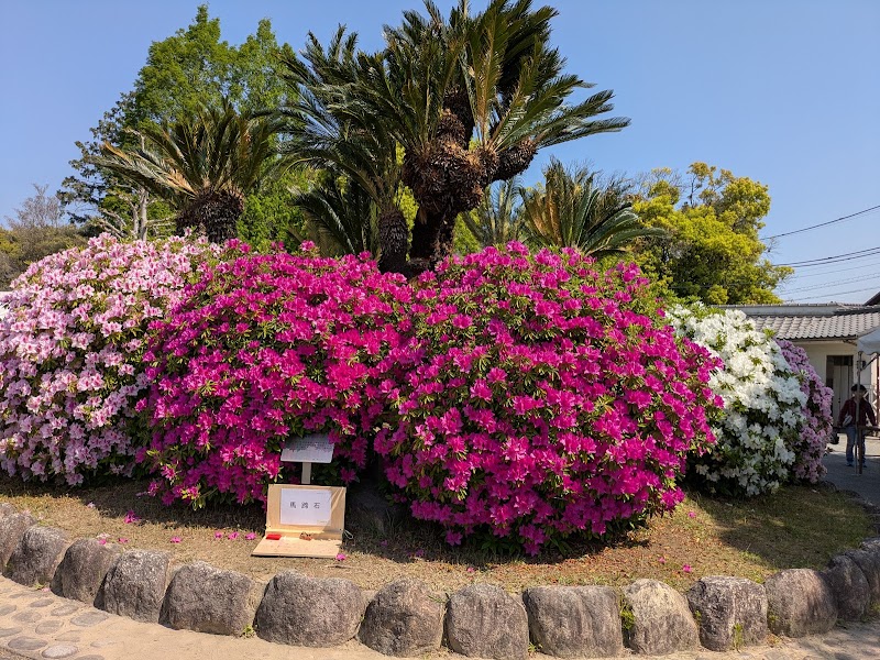 浅野公園の写真