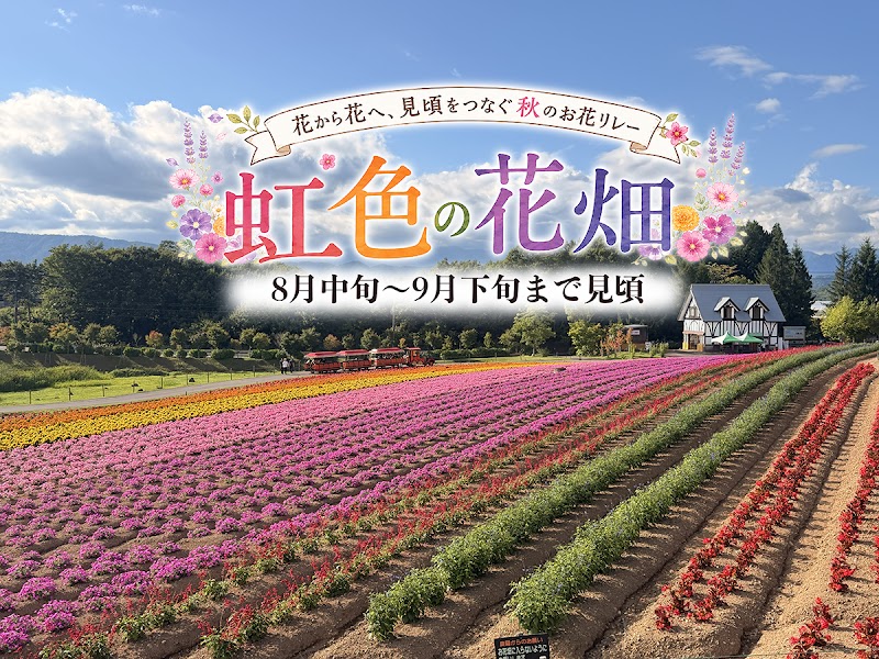 ひるがの高原 牧歌の里の写真