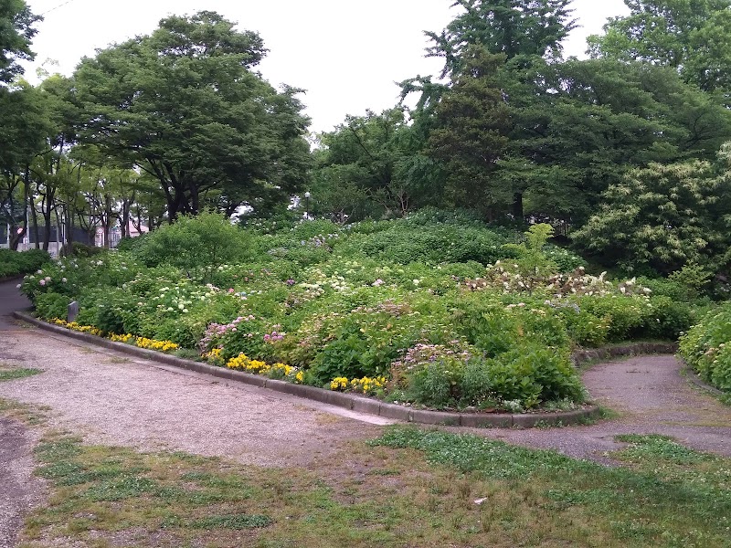 茶屋ヶ坂公園の写真