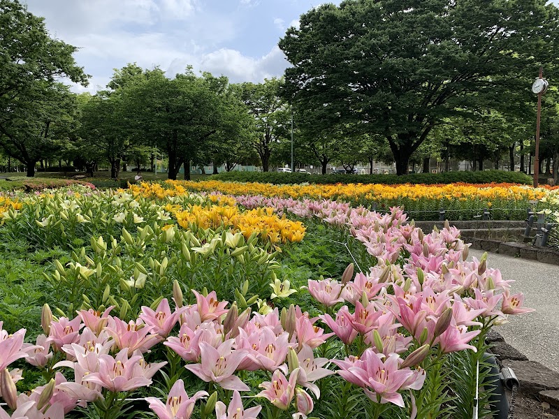 千種公園の写真