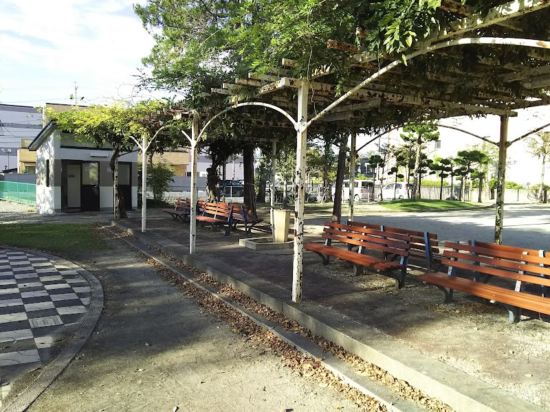 中央公園の写真