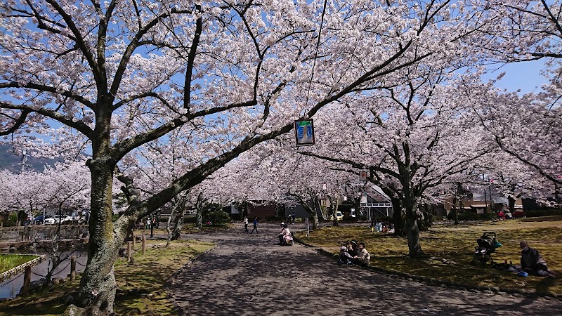 蒲郡市中央公園の写真