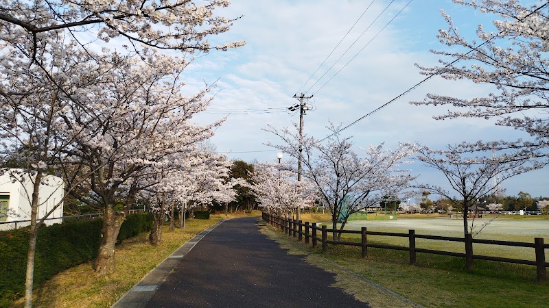 深谷公園の写真