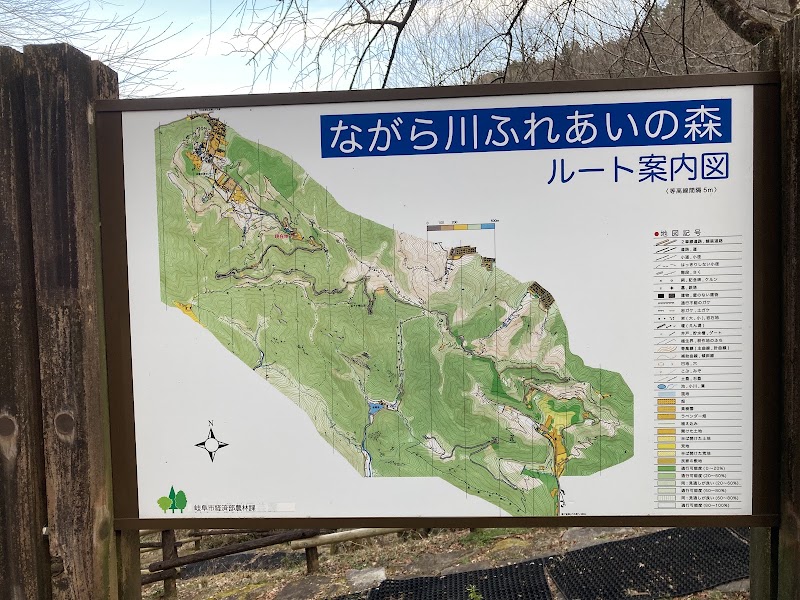 ながら川ふれあいの森の写真