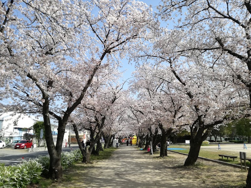 二子山公園の写真