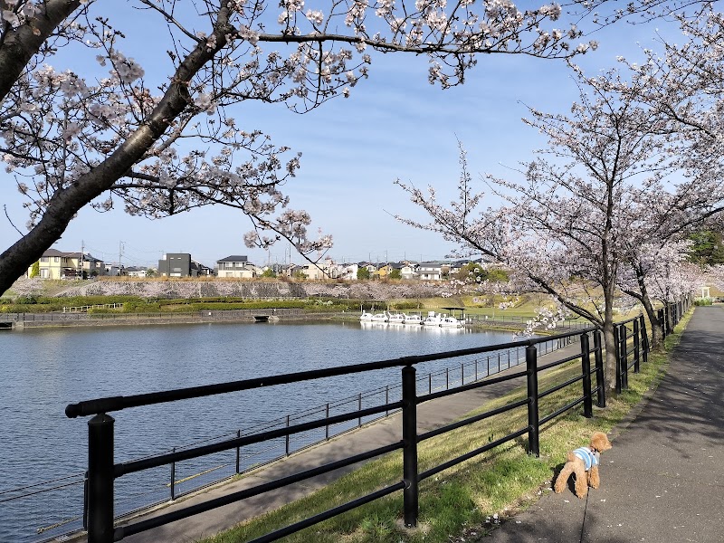 エイベックス播磨中央公園の写真