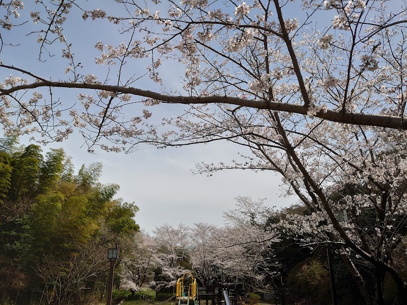 桧原公園の写真