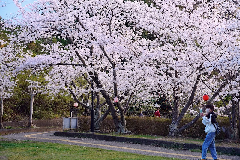 彦左公園の写真