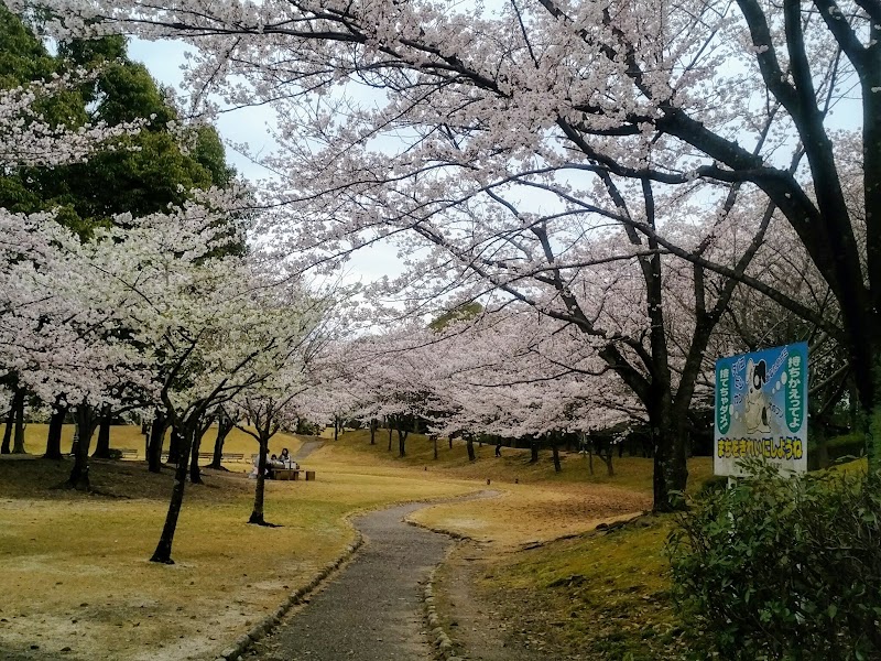 保田ヶ池公園の写真