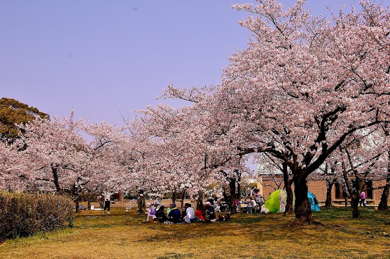 稲沢公園の写真