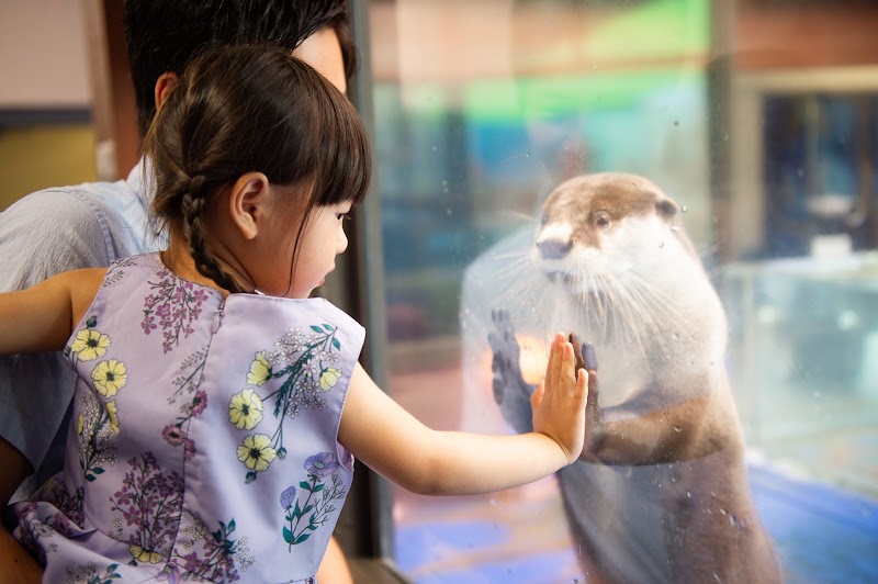 伊勢シーパラダイスの写真