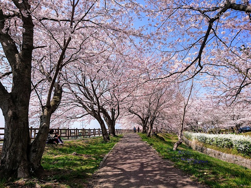 石垣池公園の写真