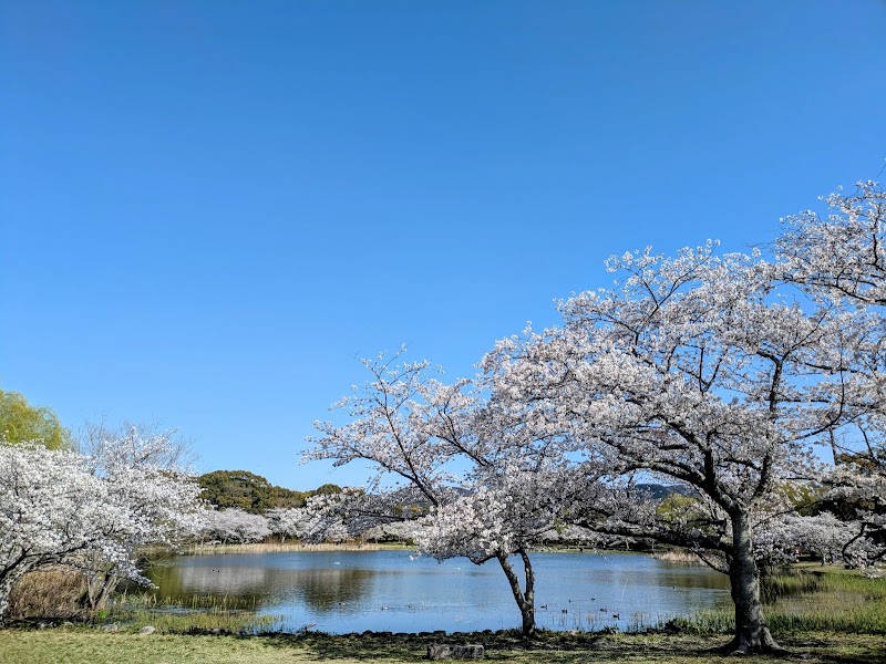 岩田運動公園の写真