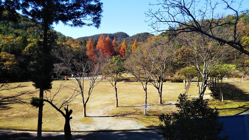 県営各務原公園の写真