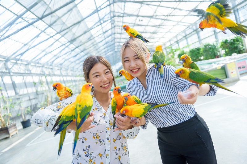 掛川花鳥園の写真