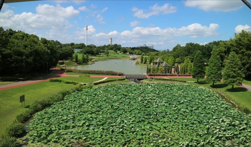あいち健康の森公園の写真