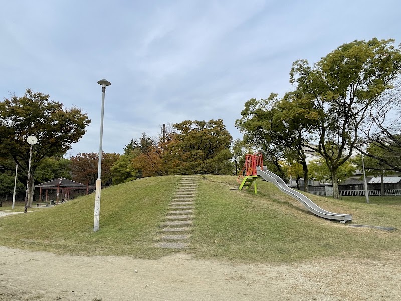 木ケ崎公園の写真