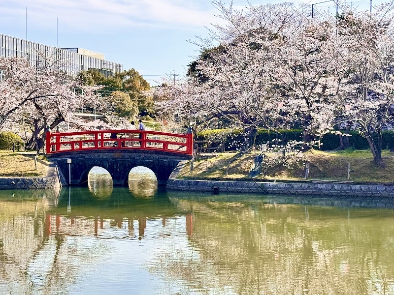 亀城公園の写真