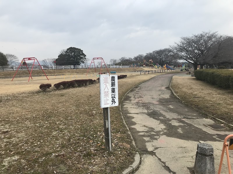 江南緑地公園（中般若）の写真