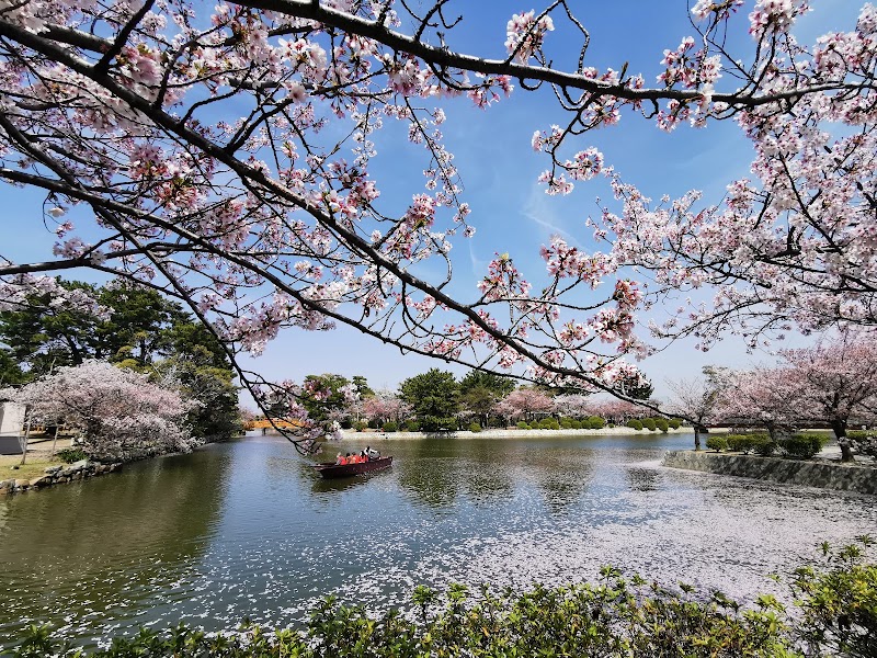 九華公園の写真