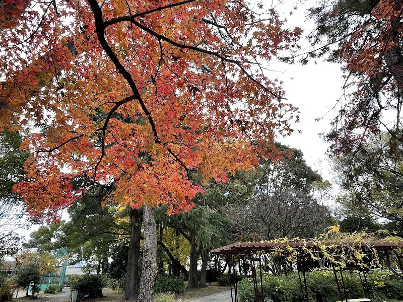 松葉公園の写真