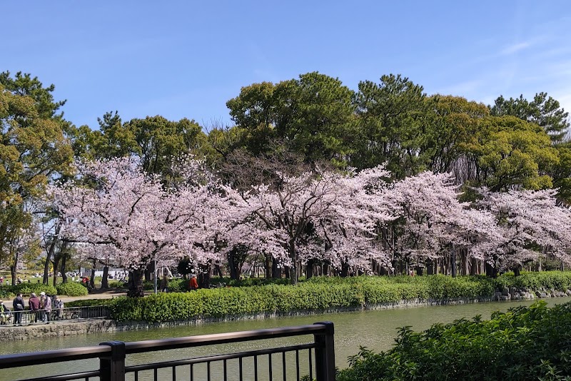名城公園の写真