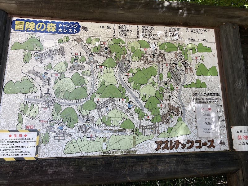 三重県民の森の写真