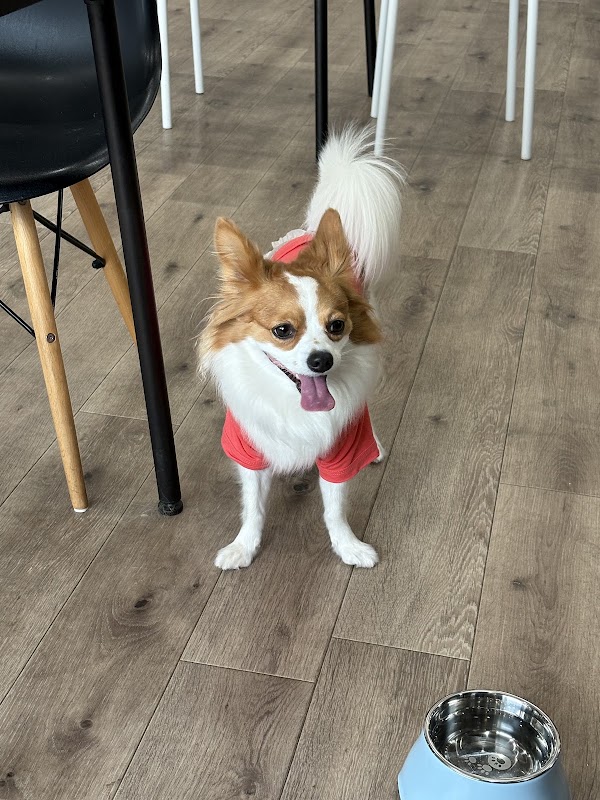 MOKORe+ by CAFE&DOGRUN(モコリ+)の写真