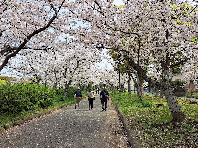 向山緑地の写真