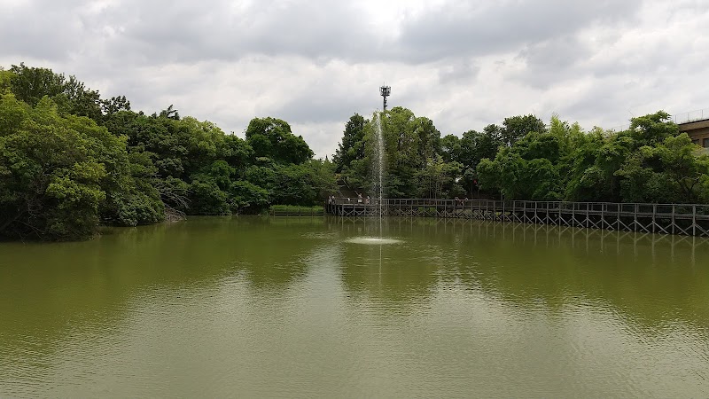 野方三ツ池公園の写真