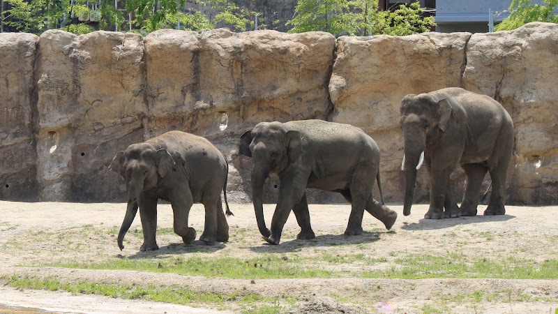 豊橋総合動植物公園（のんほいパーク）の写真