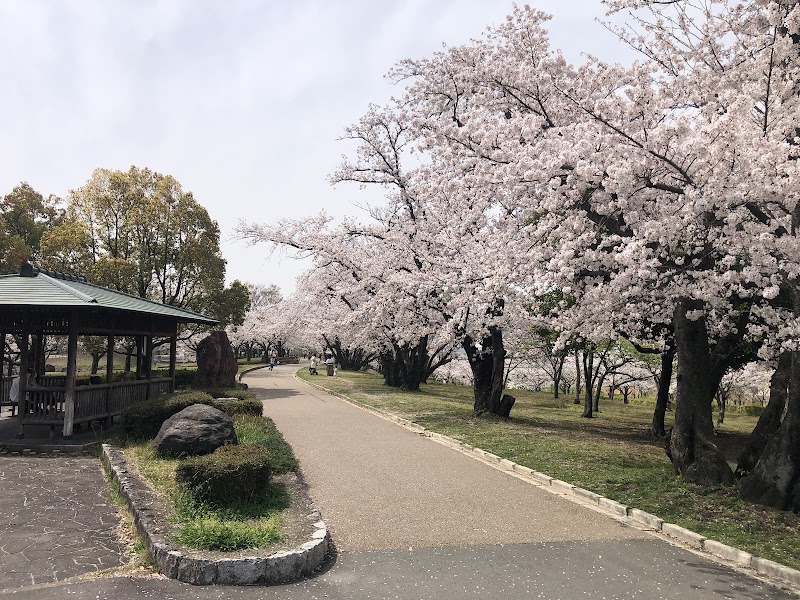 落合公園の写真