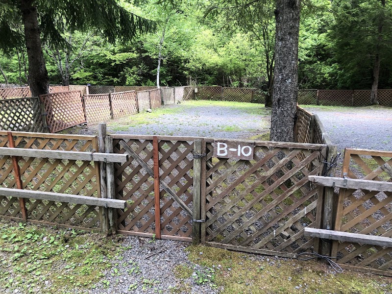 101奥長良キャンプ場＆WANKOの写真