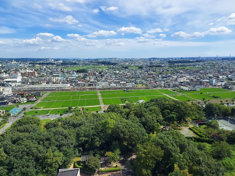城山公園の写真