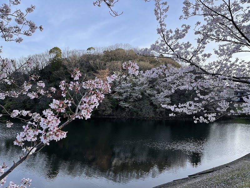 大谷公園の写真