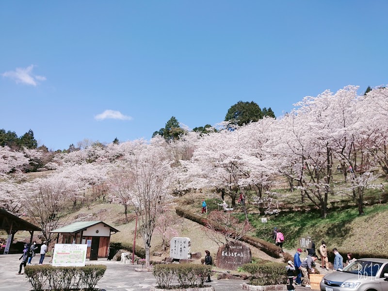 蘭丸ふる里の森の写真