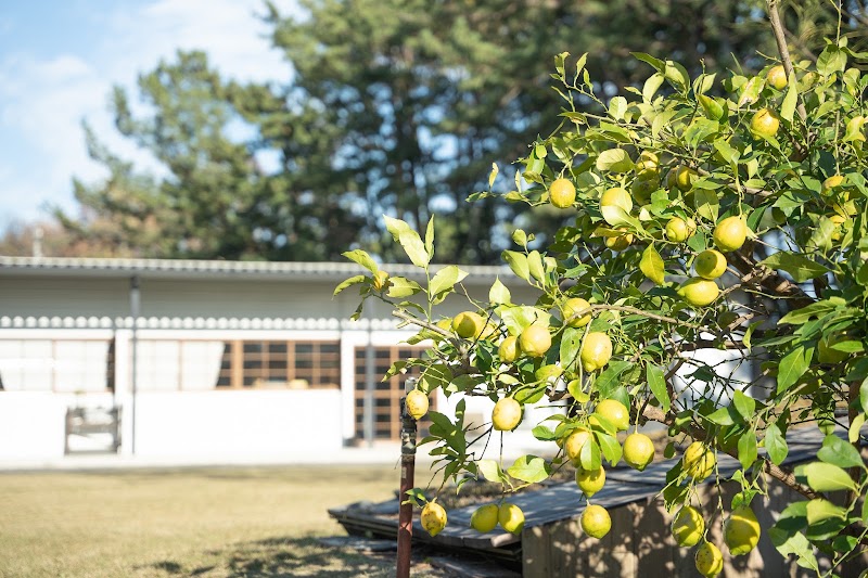 接続の森 RV PARKの写真