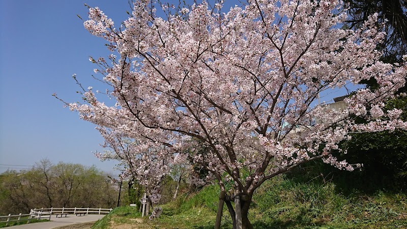 七本木池公園の写真