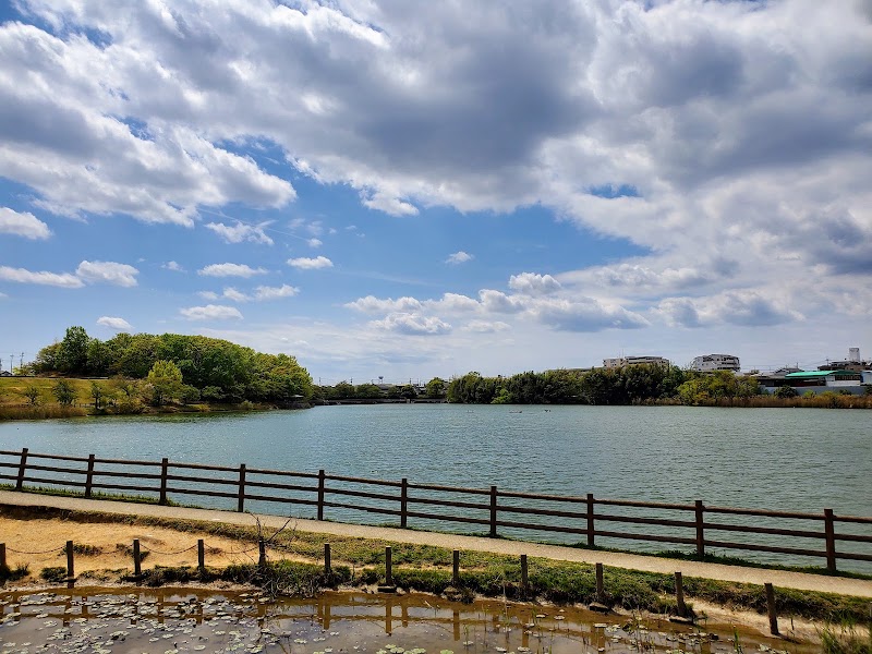 新海池公園の写真
