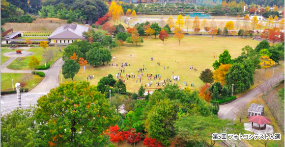 新城総合公園の写真
