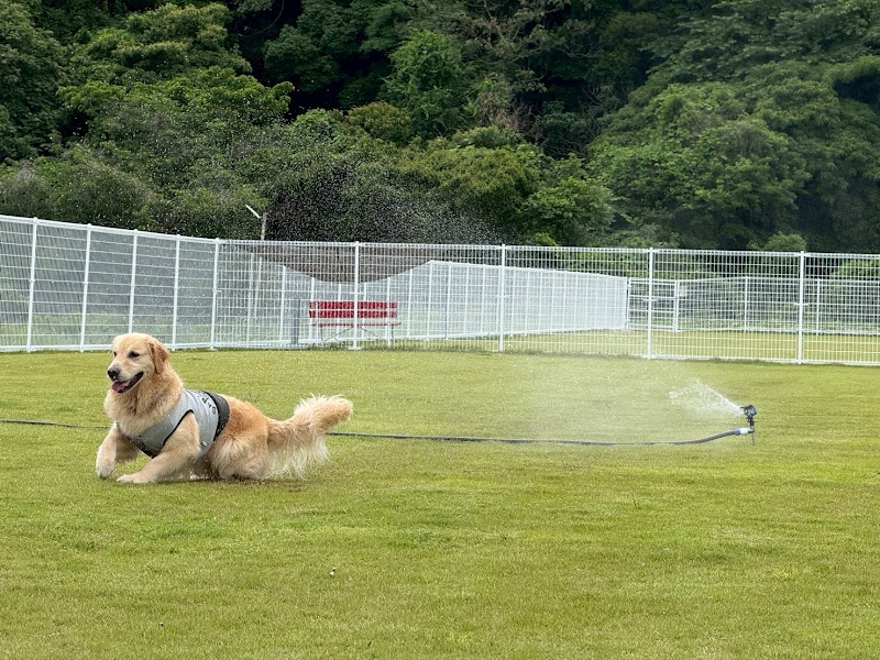 Shizunami Dogrun UMI（静波ドッグランUMI）の写真