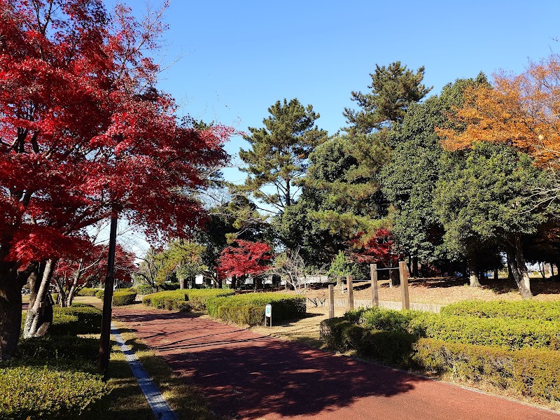 木曽川祖父江緑地（サリオパーク祖父江）の写真