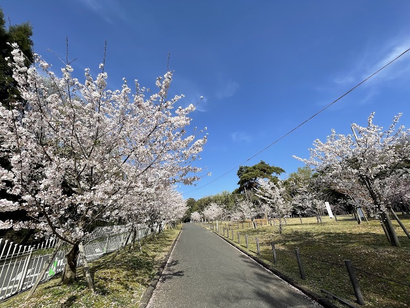 洲原公園の写真