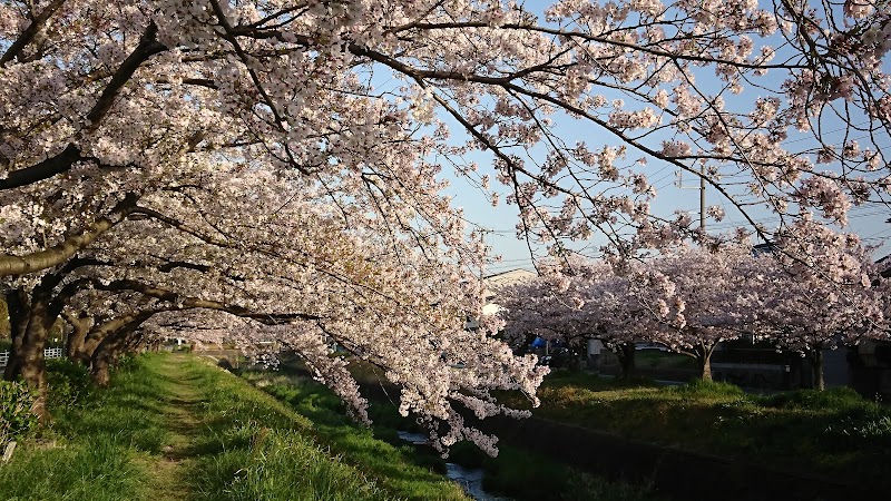 砂川公園の写真