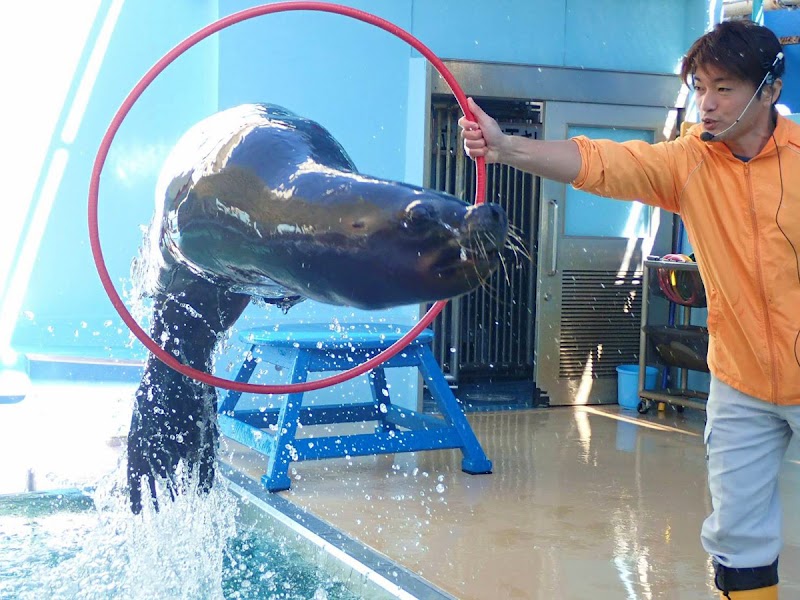 竹島水族館の写真