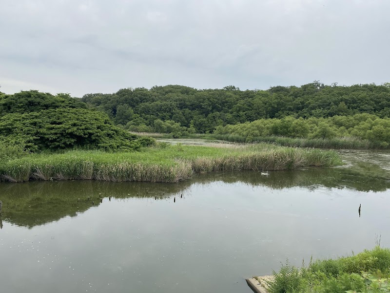 天白公園の写真
