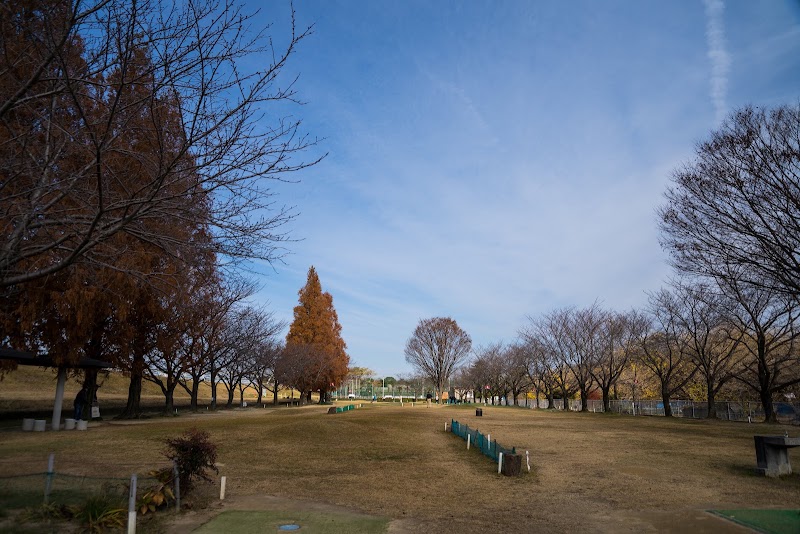 冨田山公園の写真
