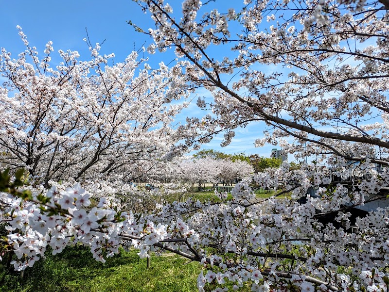 富田公園の写真